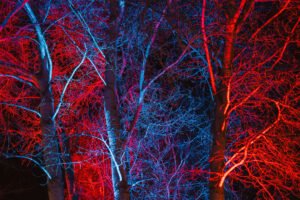 Trees-Kulturhaus